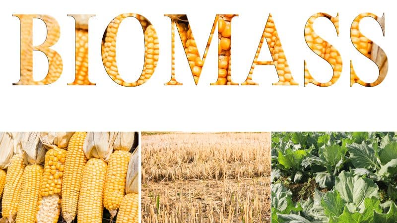 Biomass energy applications in renewable energy sector