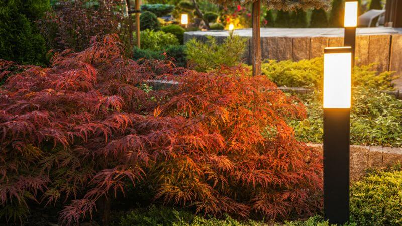 Electric landscape lighting in a park