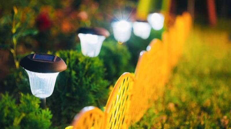 Solar Driveway Lights in the Garden