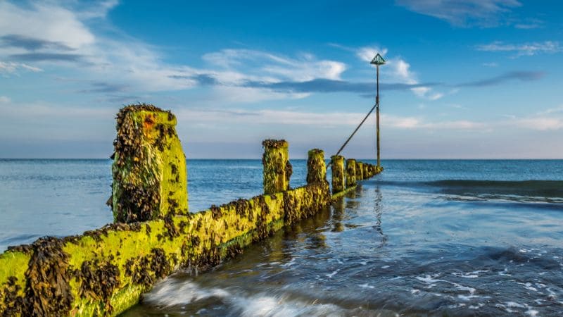 Tidal and wave energy generators at sea